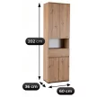 Dulap înalt MODENA 60 cm, stejar Artisan