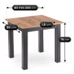 Masă extensibilă dining 80–200 cm, culoare stejar craft/negru BEN