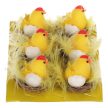 PUI ÎN COAJA DE OU , DECORAȚIE DE PRIMĂVARĂ/PAȘTE  6BUC/SET